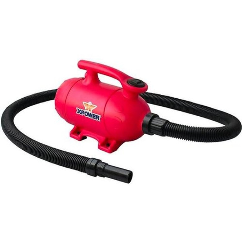 XPOWER B-2 "Pro-At-Home" Pet Dryer and Vacuum