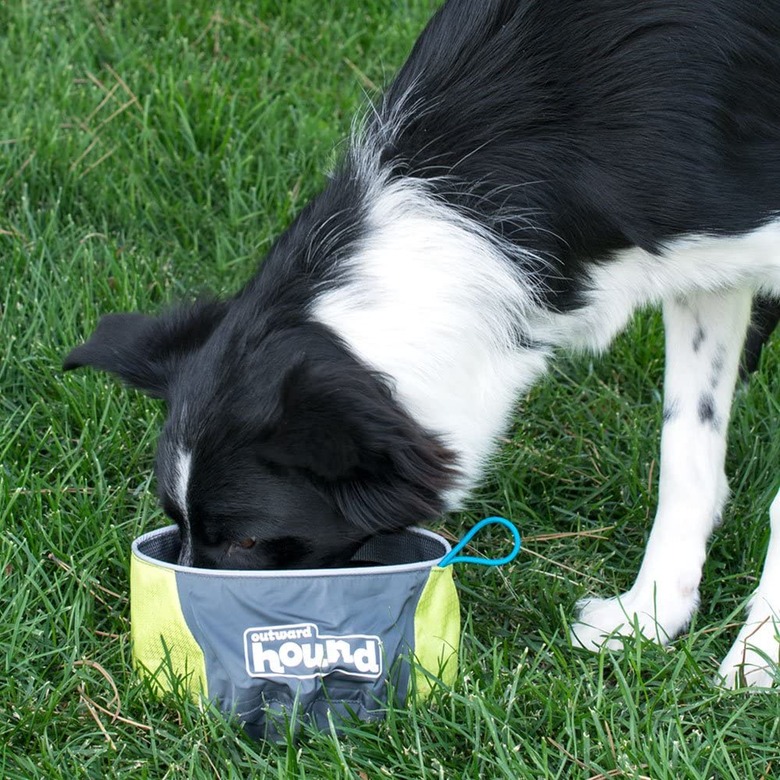 Outward Hound Port-a-Bowl Dog Travel Bowl