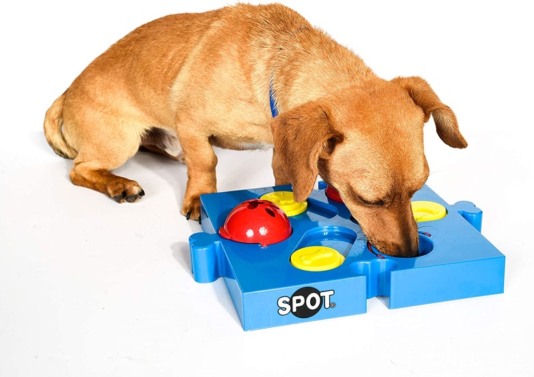 SPOT Seek-a-Treat Flip 