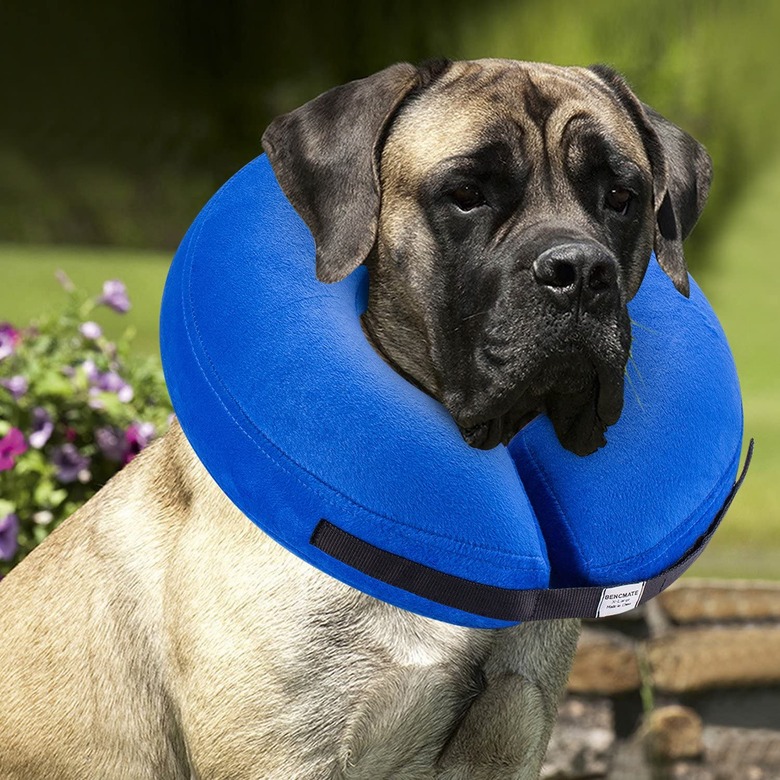 Bencmate Protective Inflatable Collar for Dogs and Cats