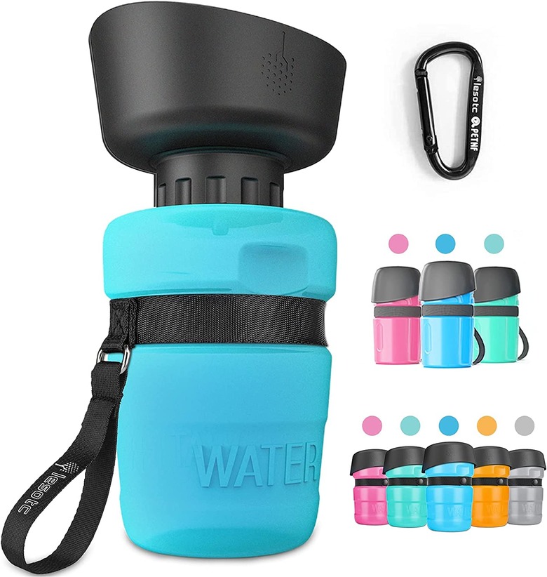 Iesotc Pet Water Bottle