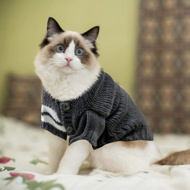 EXPAWLORER Cat Sweater