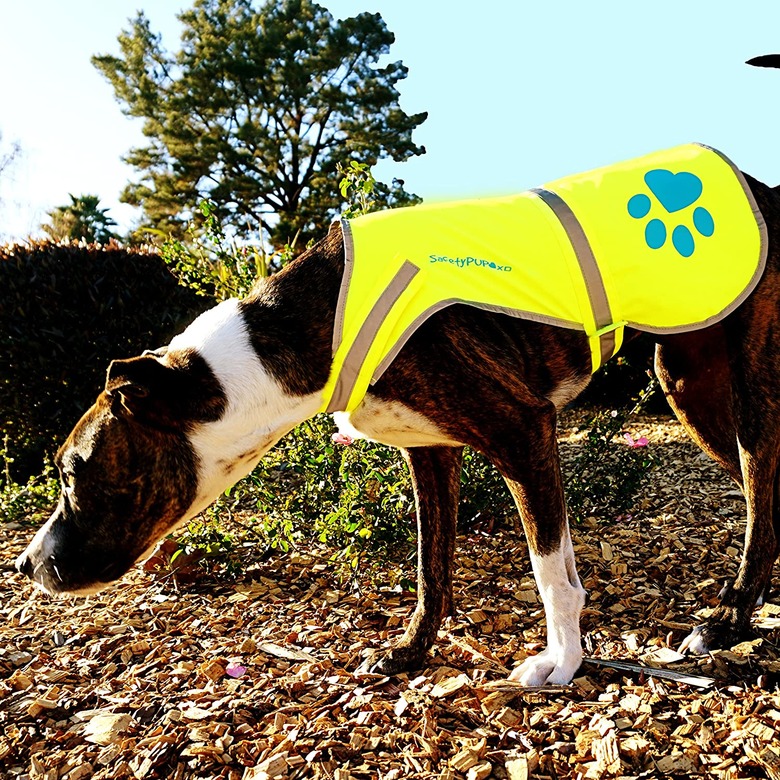 SafetyPUP XD Urban Dog Reflective Vest