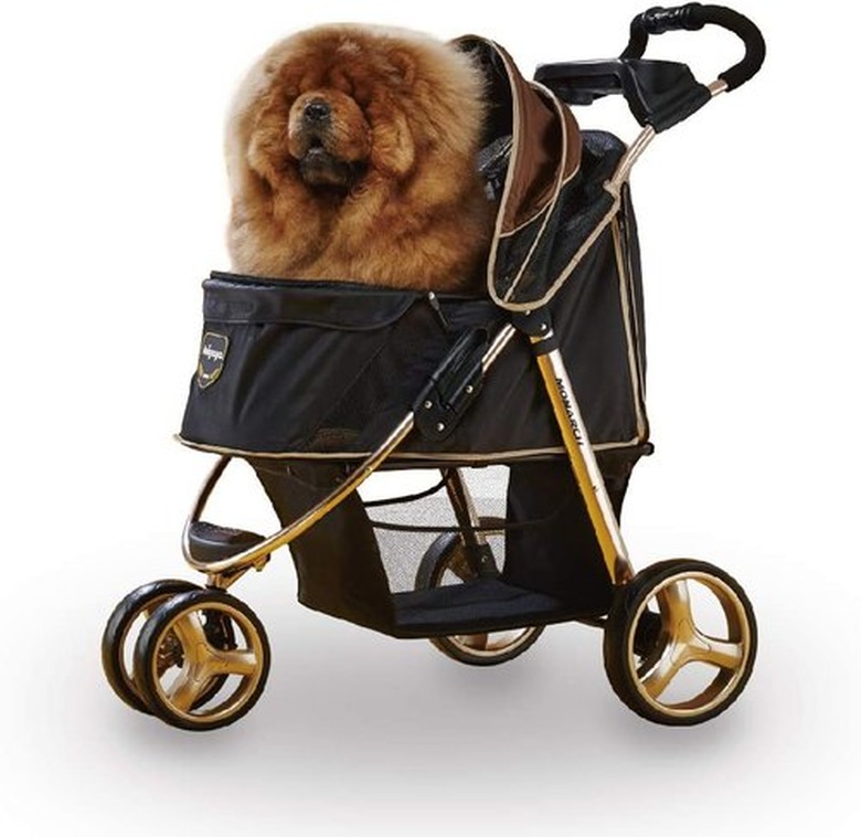 Ibiyaya Monarch Premium Pet Jogger