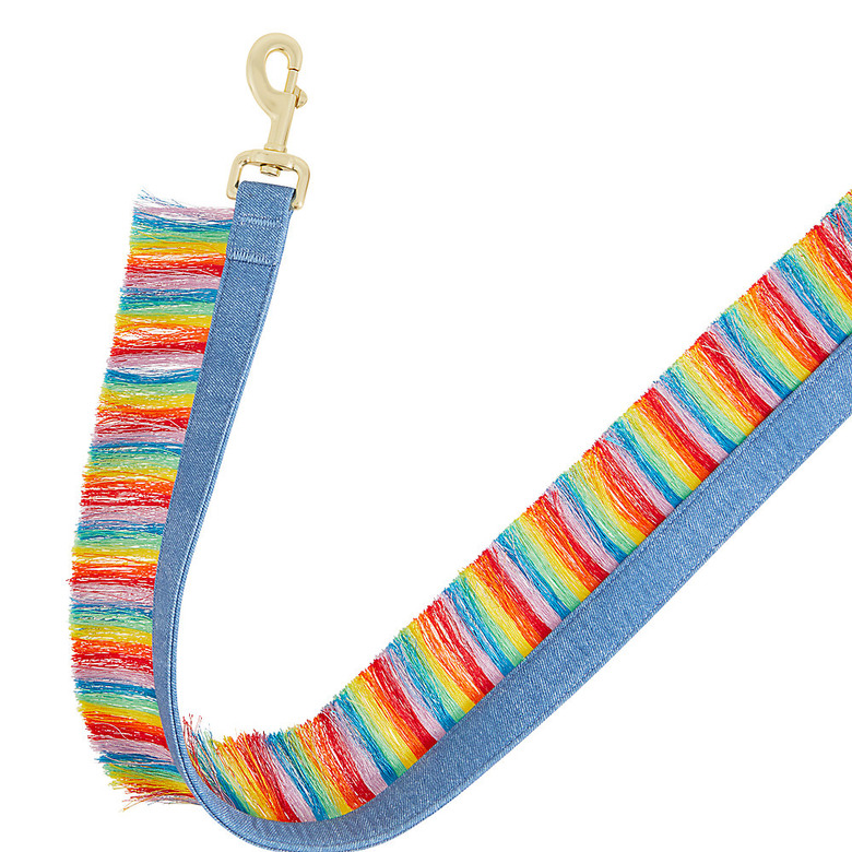 You Are Loved Pride Rainbow Fringe Dog Leash, 4-ft. Long