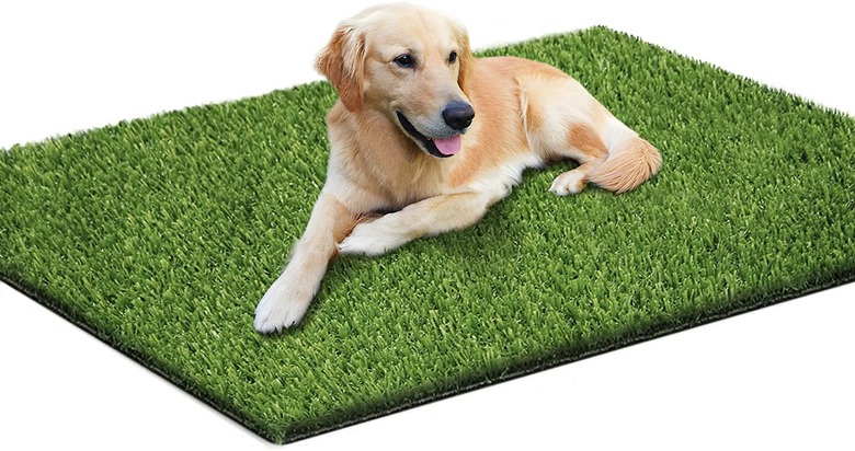 Loytryal 39.4 x 31.5 in. Artificial Turf Rug