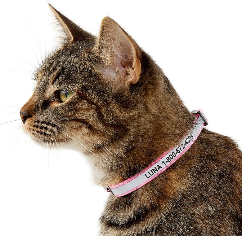 GoTags Nylon Personalized Reflective Breakaway Cat Collar With Bell