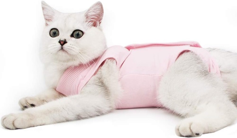 Cat Professional Recovery Suit for Abdominal Wounds or Skin Diseases