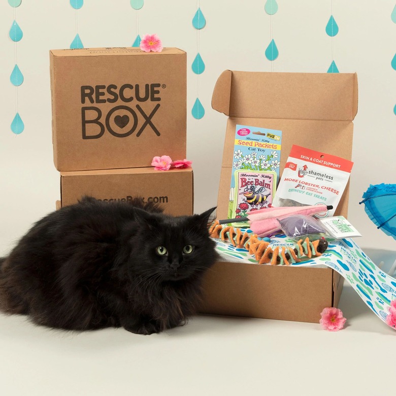 RescueBox - Spoil Your Pet, Help Animals In Need