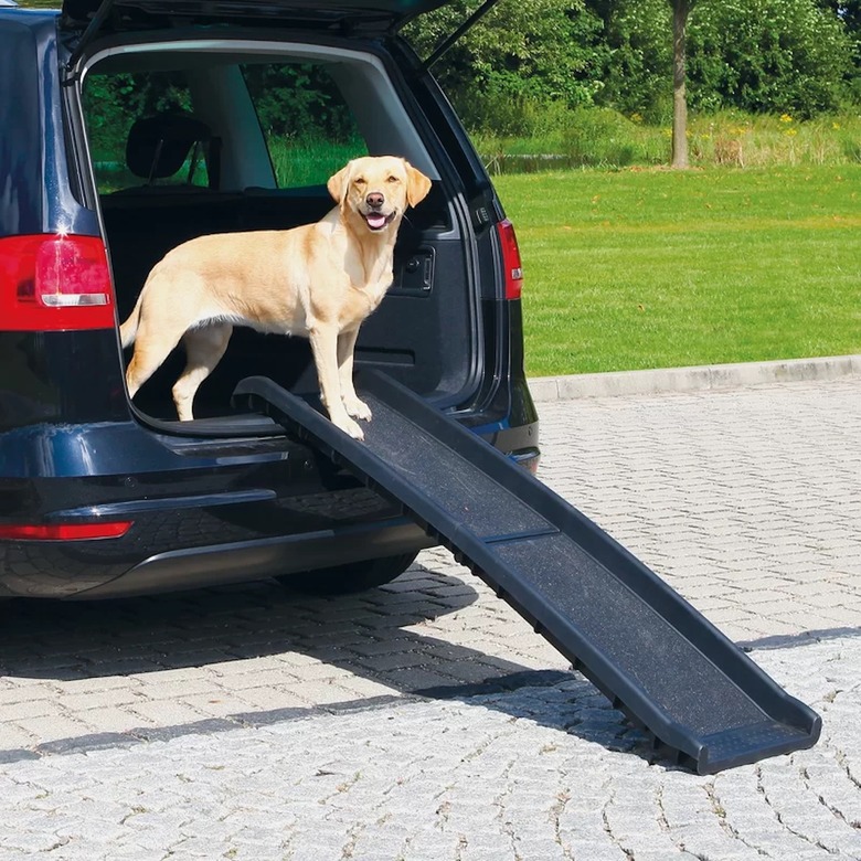 Polston Petwalk Folding 61" Pet Ramp