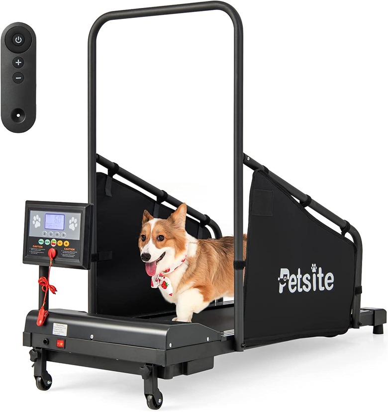 Petsite Dog Treadmill for Small/Medium Dogs