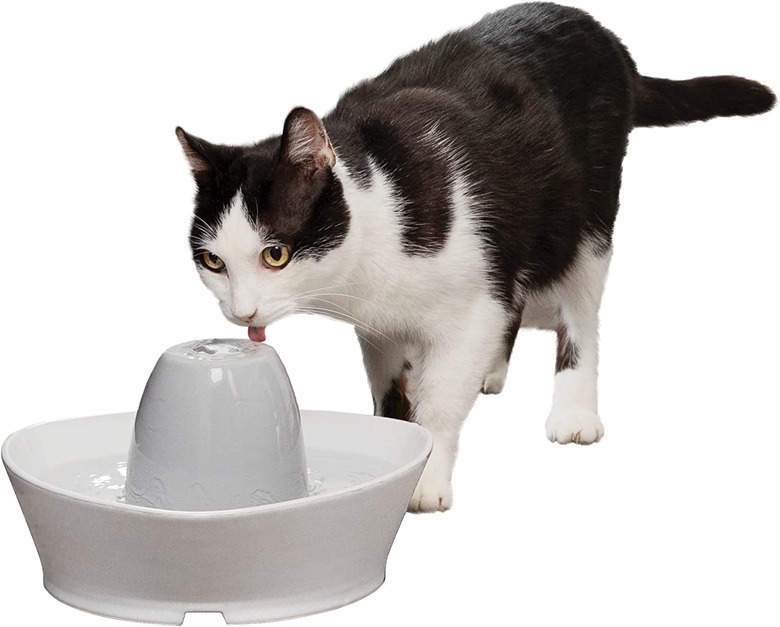 PetSafe Creekside Quiet Dog & Cat Fountain, 60-oz