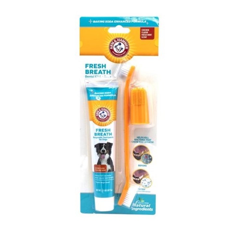 Arm & Hammer Fresh Breath Dental Kit for Pets