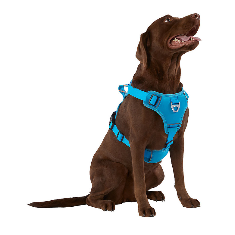 Arcadia Trail™ Neoprene Dog Harness - Reflective, Water-Resistant