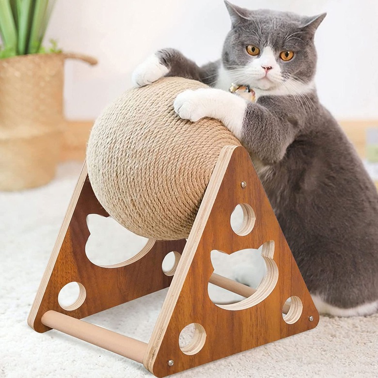 AGYM Cat Scratcher Toy