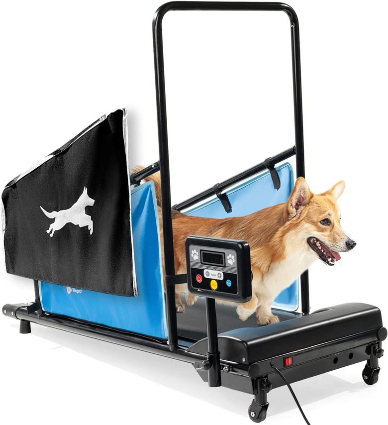 LifePro Dog Treadmill