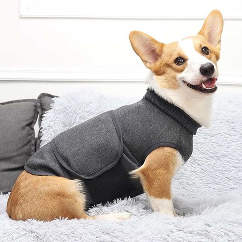 Coppthinktu Dog Anxiety Jacket