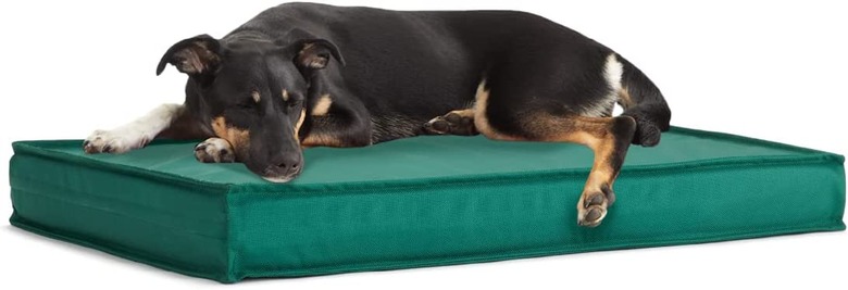 BarkBox Outdoor Waterproof Dog Platform Bed