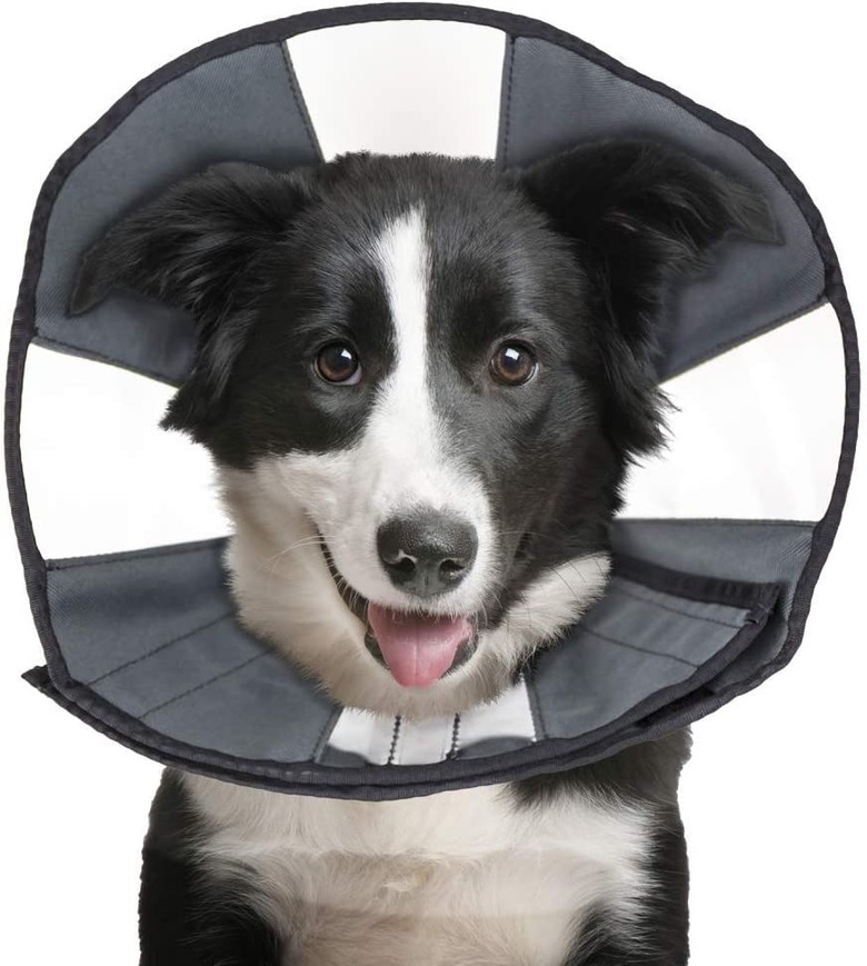 ZenPet ZenCone Soft Recovery Dog & Cat Collar