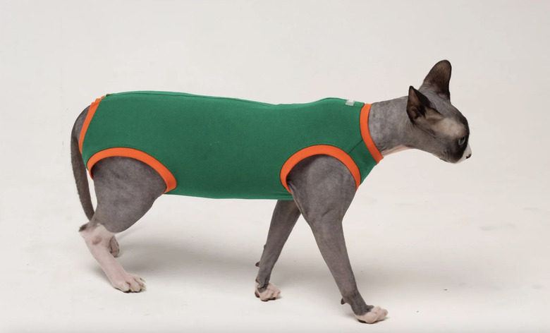 MyHappyPetsBoutique Post-Surgery Pet Suit