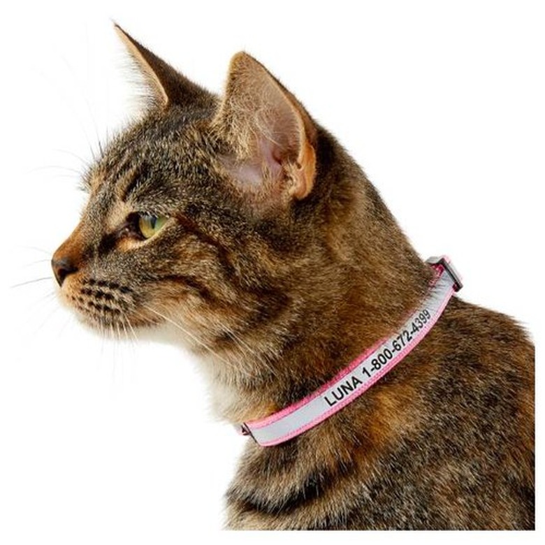 GoTags Nylon Personalized Reflective Breakaway Cat Collar with Bell