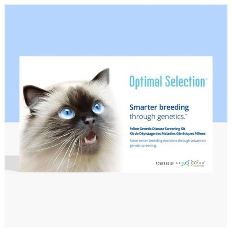 Optimal Selection™ Feline