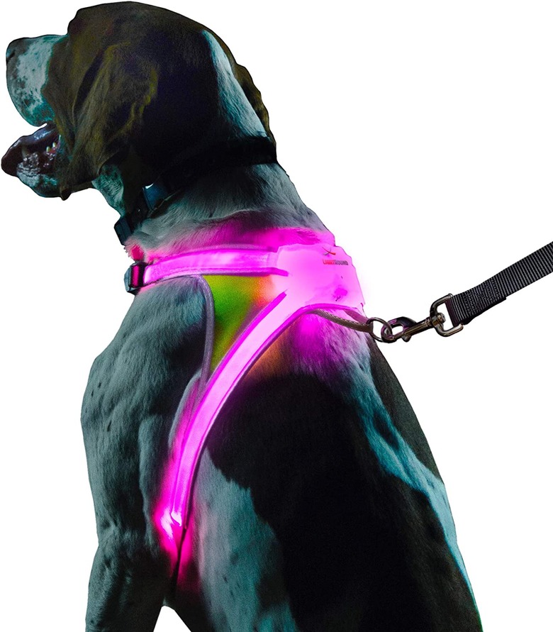 Noxgear LightHound Multicolor LED Reflective Dog Harness