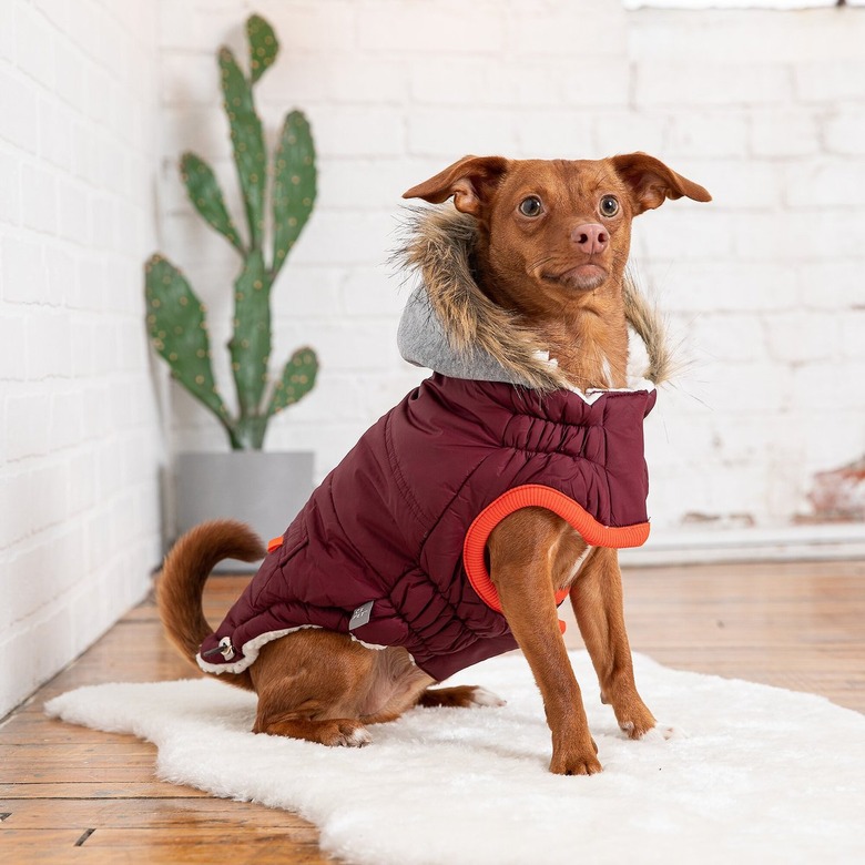 GF Pet Winter Sailor Dog Parka