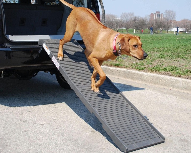 PetStep Original Folding Pet Ramp