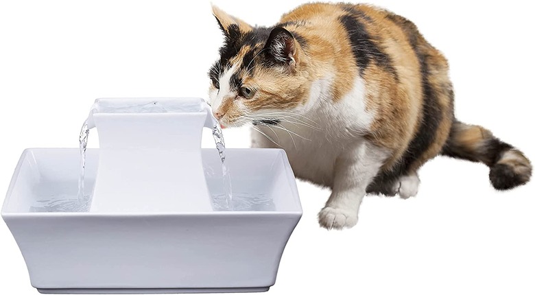 PetSafe Cat and Dog Water Fountain