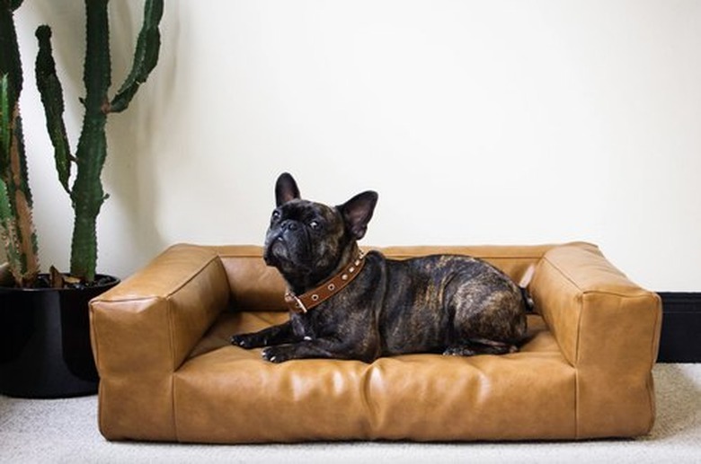 BlvdCouch Custom Dog Sofa