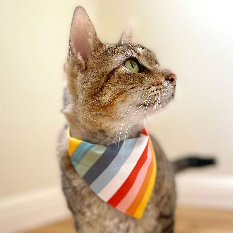 Made By Cleo Carousel Rainbow Slide-On Cat Bandana