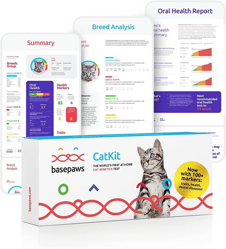 Basepaws Cat DNA Test