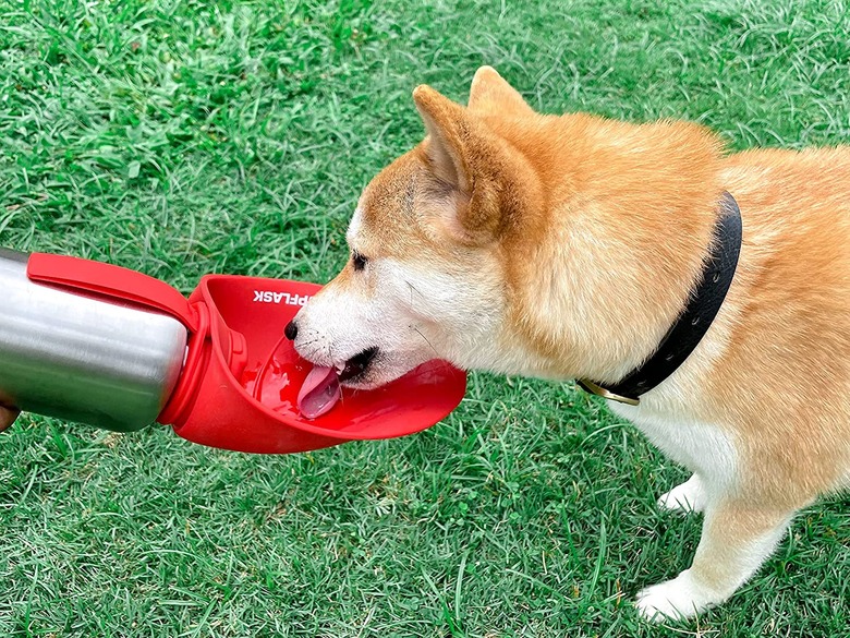 PupFlask Large Dog Water Bottle