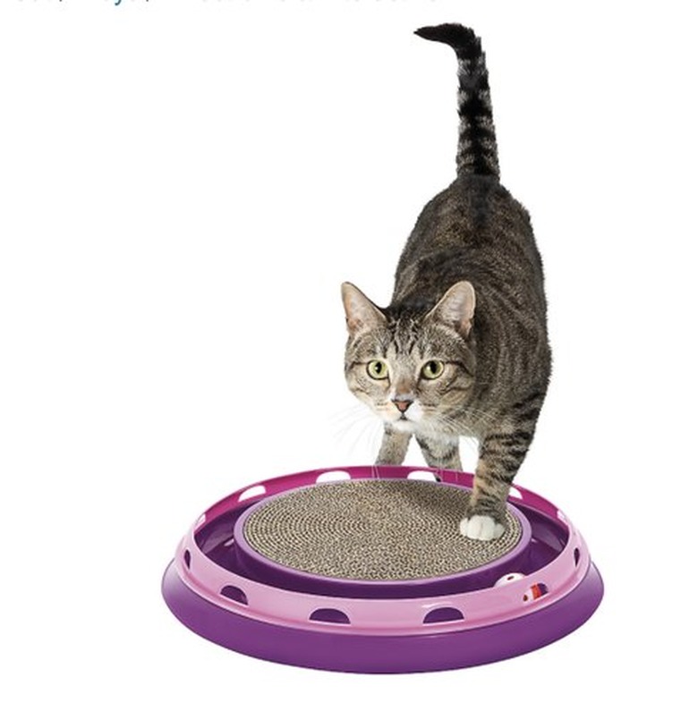 Whisker City Ball Track & Scratcher Cat Toy