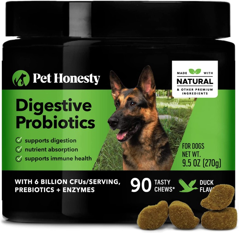 PetHonesty Digestive Probiotics Soft Chews, 90-Count