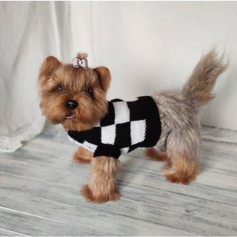 PrettyPetSweater Wednesday-Inspired Checkered Cardigan