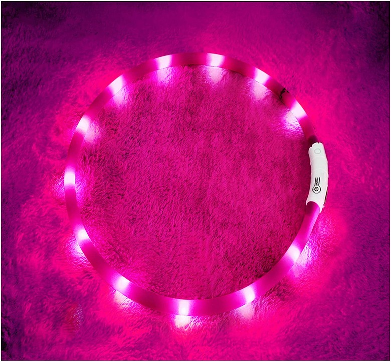 Fashion&cool USB Rechargeable LED Dog Collar