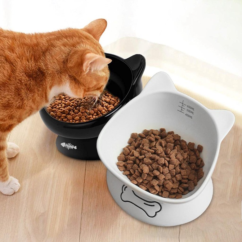 eTzone Ceramic Tilted Pet Feeder and Waterer for Cats