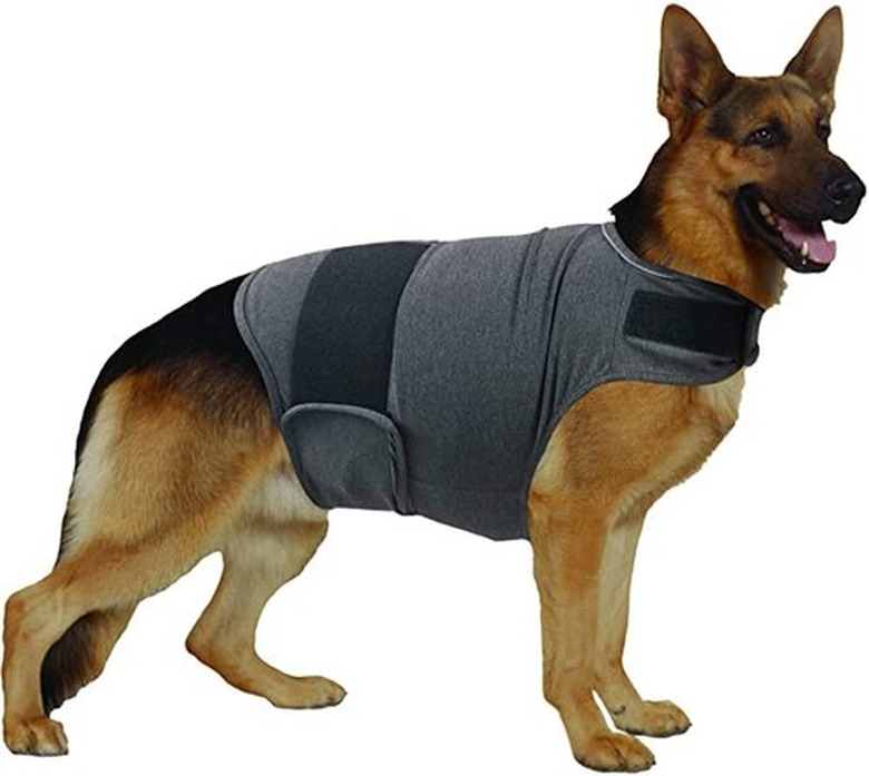 The Best Anxiety Vests For Dogs In 2023 Cuteness