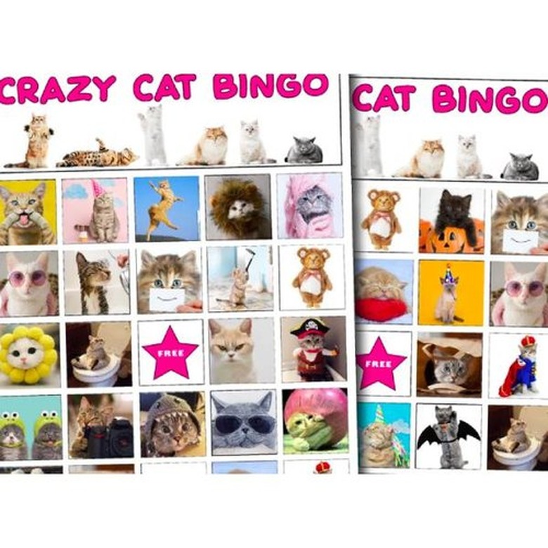 DeVardDesign Crazy Cat Bingo Game