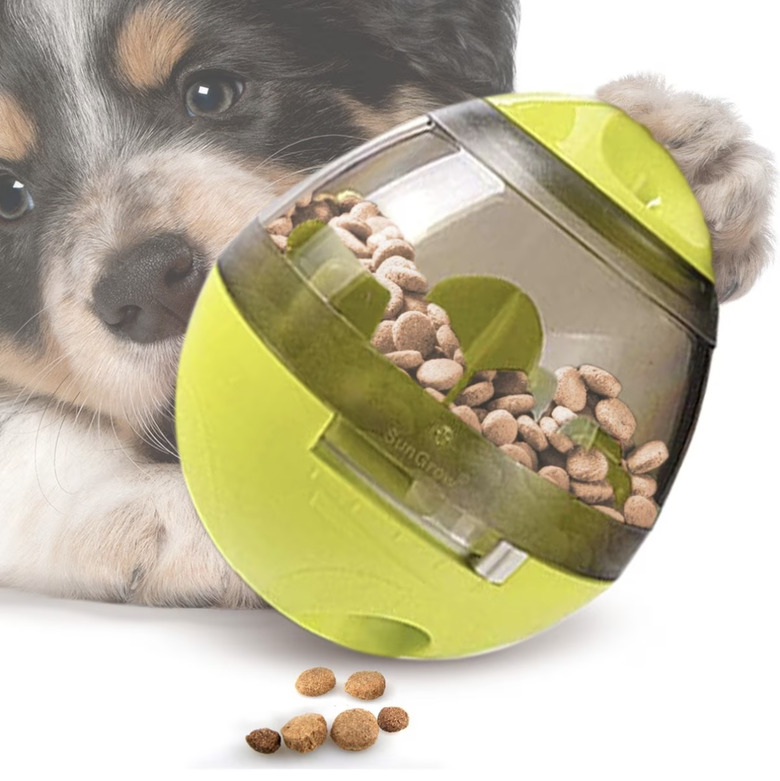 SunGrow Treat Dispensing Cat & Dog Toy