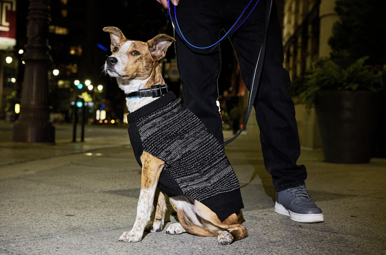 Reddy Black Reflective Dog Sweater