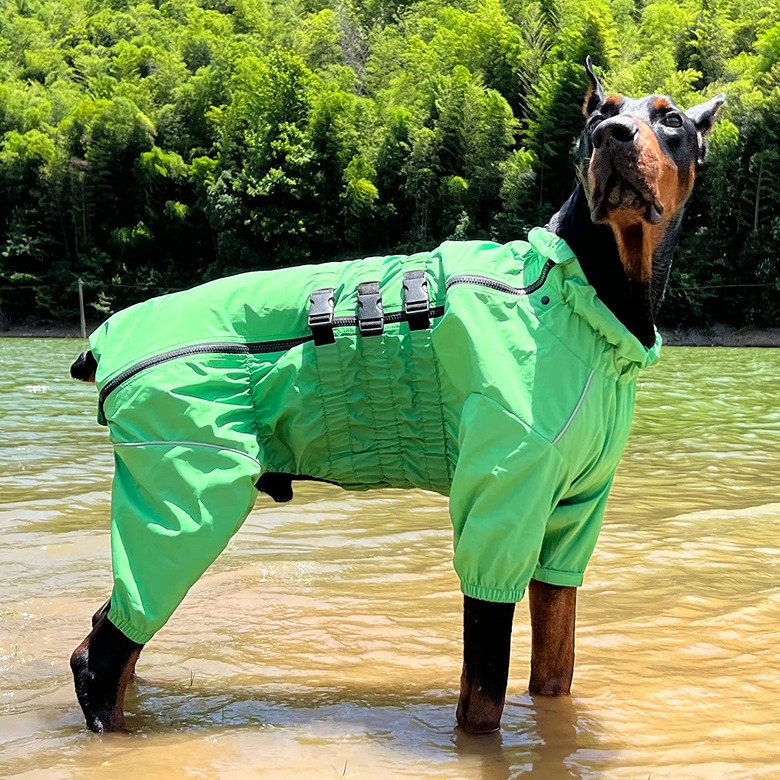 Lovelonglong Waterproof Dog Jacket