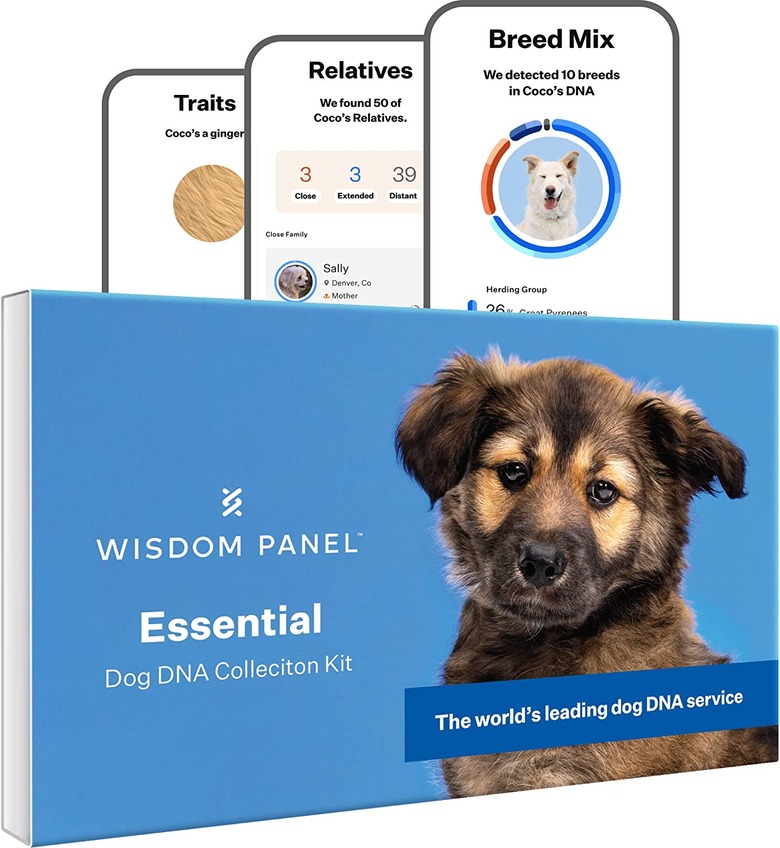 Wisdom Panel Essential Dog DNA Test Kit