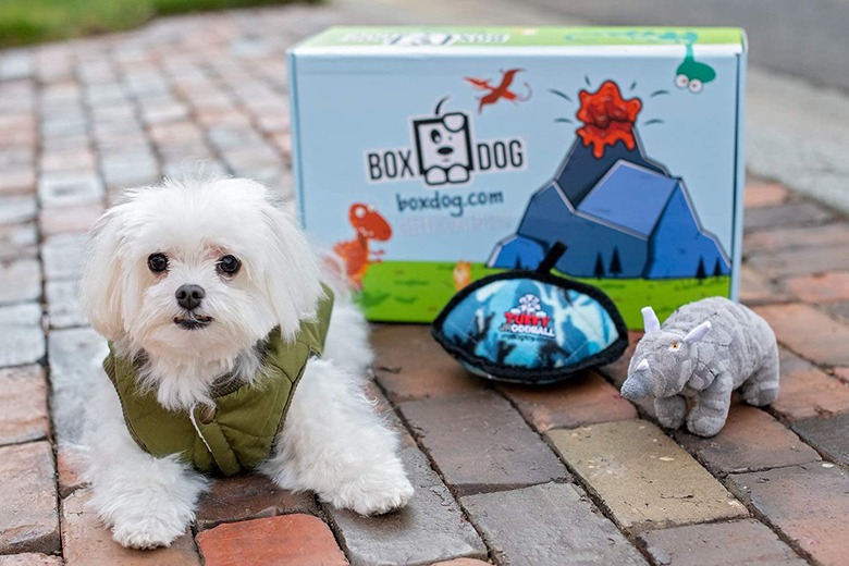 BoxDog Monthly Box