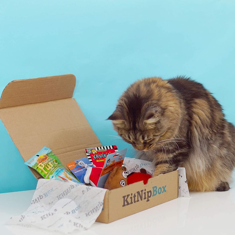 Best Cat Subscription Boxes In 2023 7 Ways To Spoil Your Cat Every Month Cuteness