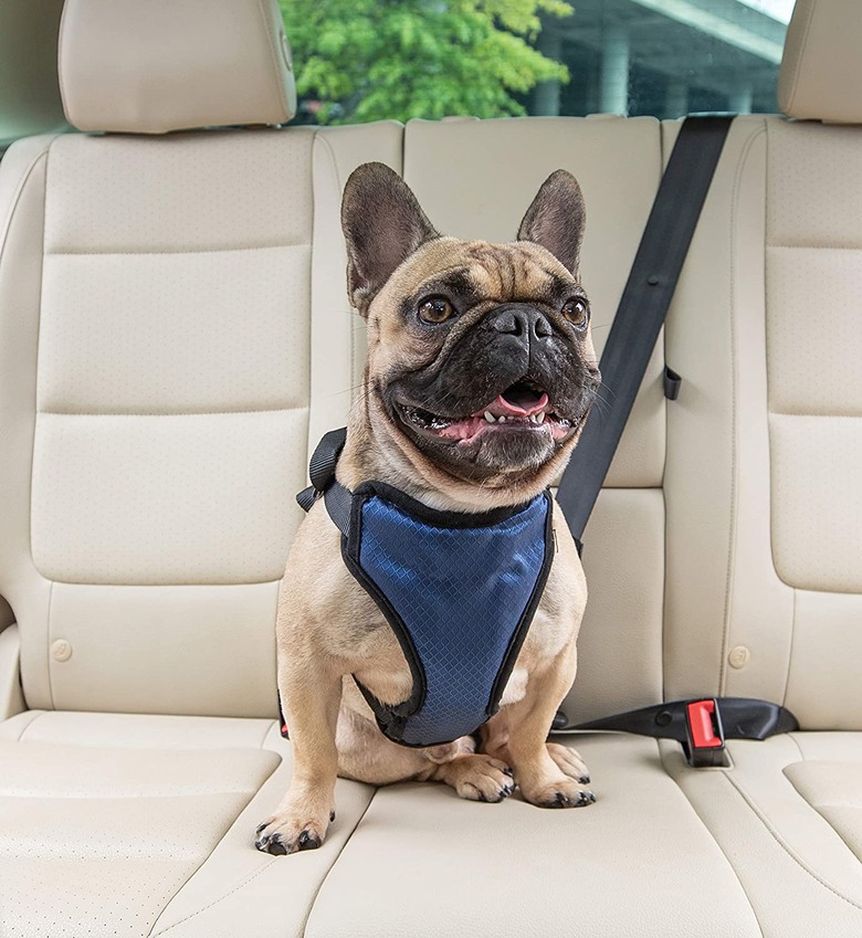 Solvit PetSafe Happy Ride Deluxe Car Harness for Dogs