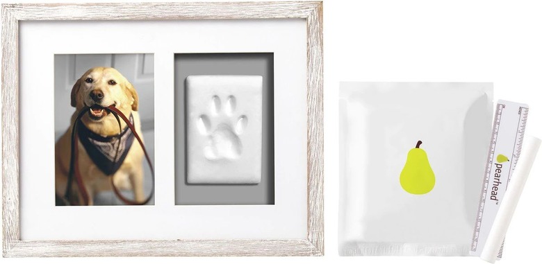 Pearhead Pawprints Wall Picture Frame, 4 x 6-in