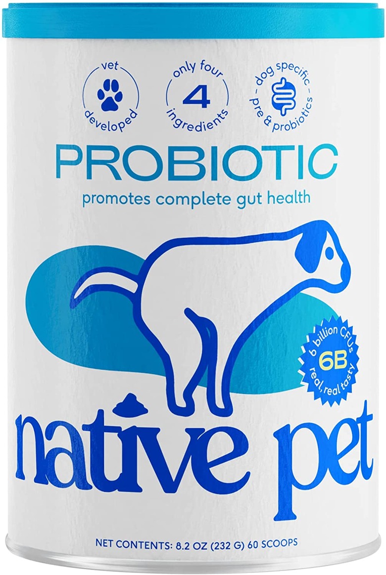 Native Pet Probiotic for Dogs, 8.2-oz. Container